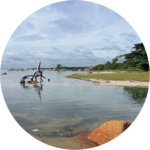 View of Quintell beach in Lockart River