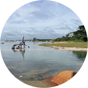 View of Quintell beach in Lockart River